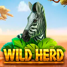 Wild Hero